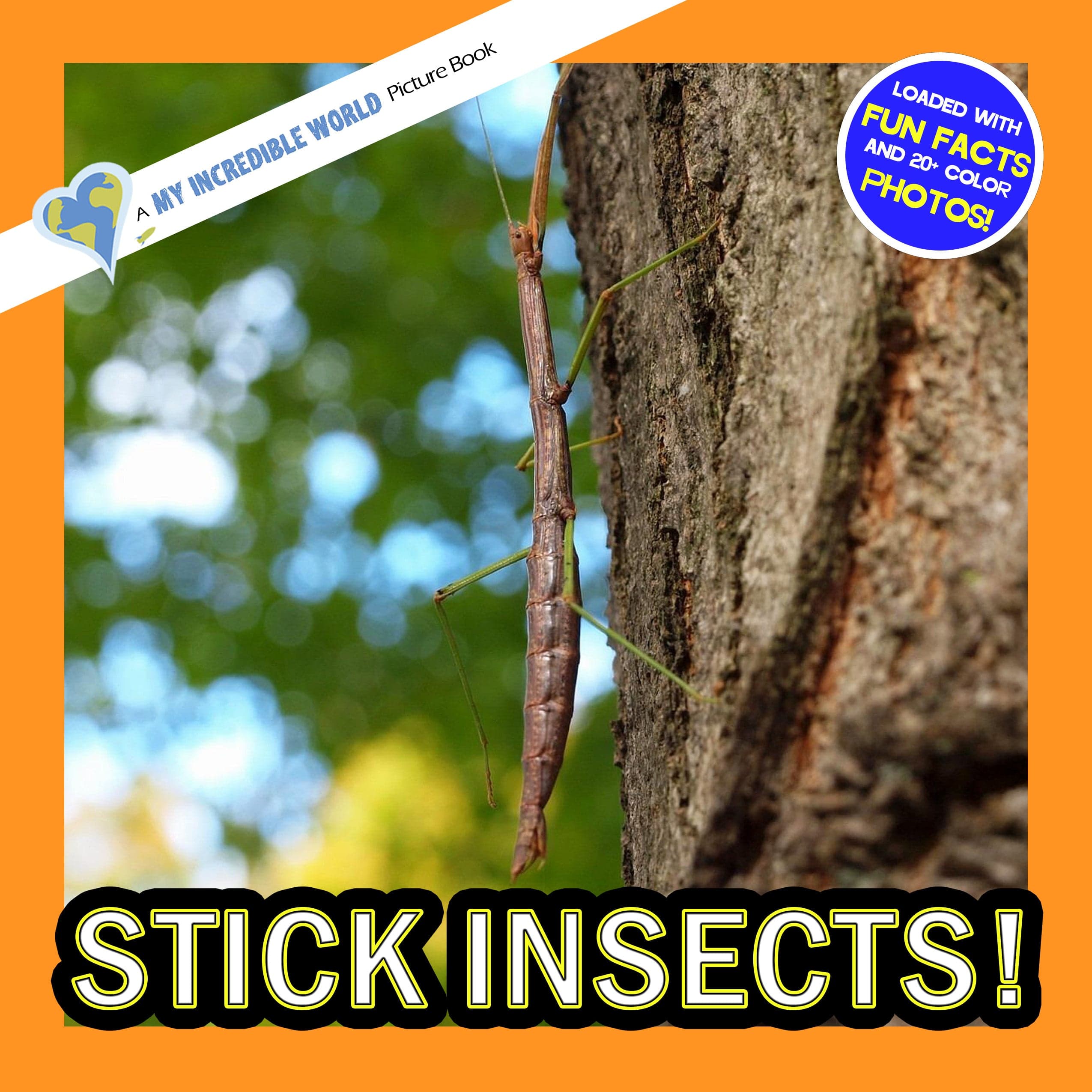Stick Insects! A My Incredible World Picture Book for Children